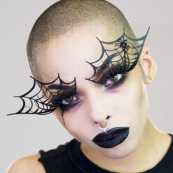 SpiderWebs (with spiders)